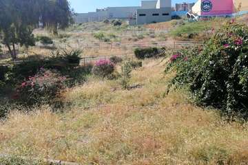 Abandono del Parque de las Mil Palmeras del Valle de Jinámar/TA.